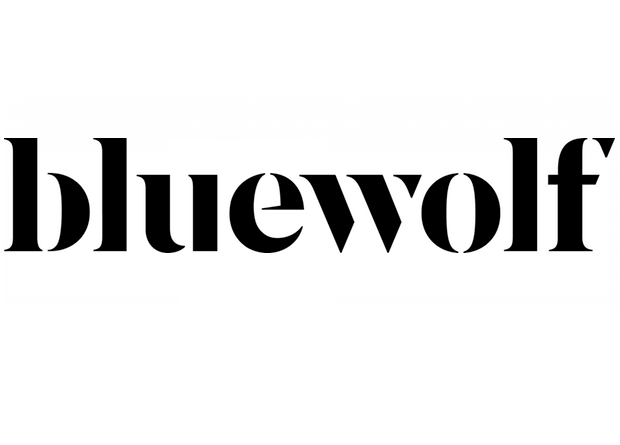 Bluewolf Salesforce Consulting