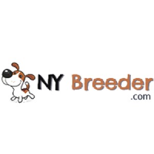 NY Breeder